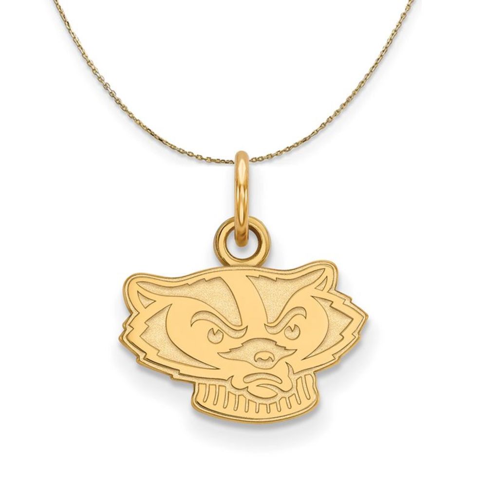 14k Yellow Gold U. of Wisconsin X-Small Badgers Necklace - 18 Inch